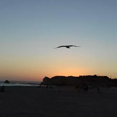 Апартаменты Beautiful Near The Beach